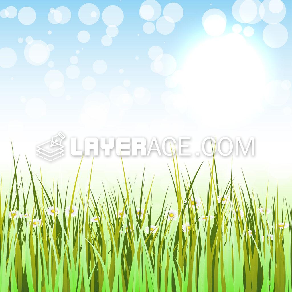 Vector Spring Grass